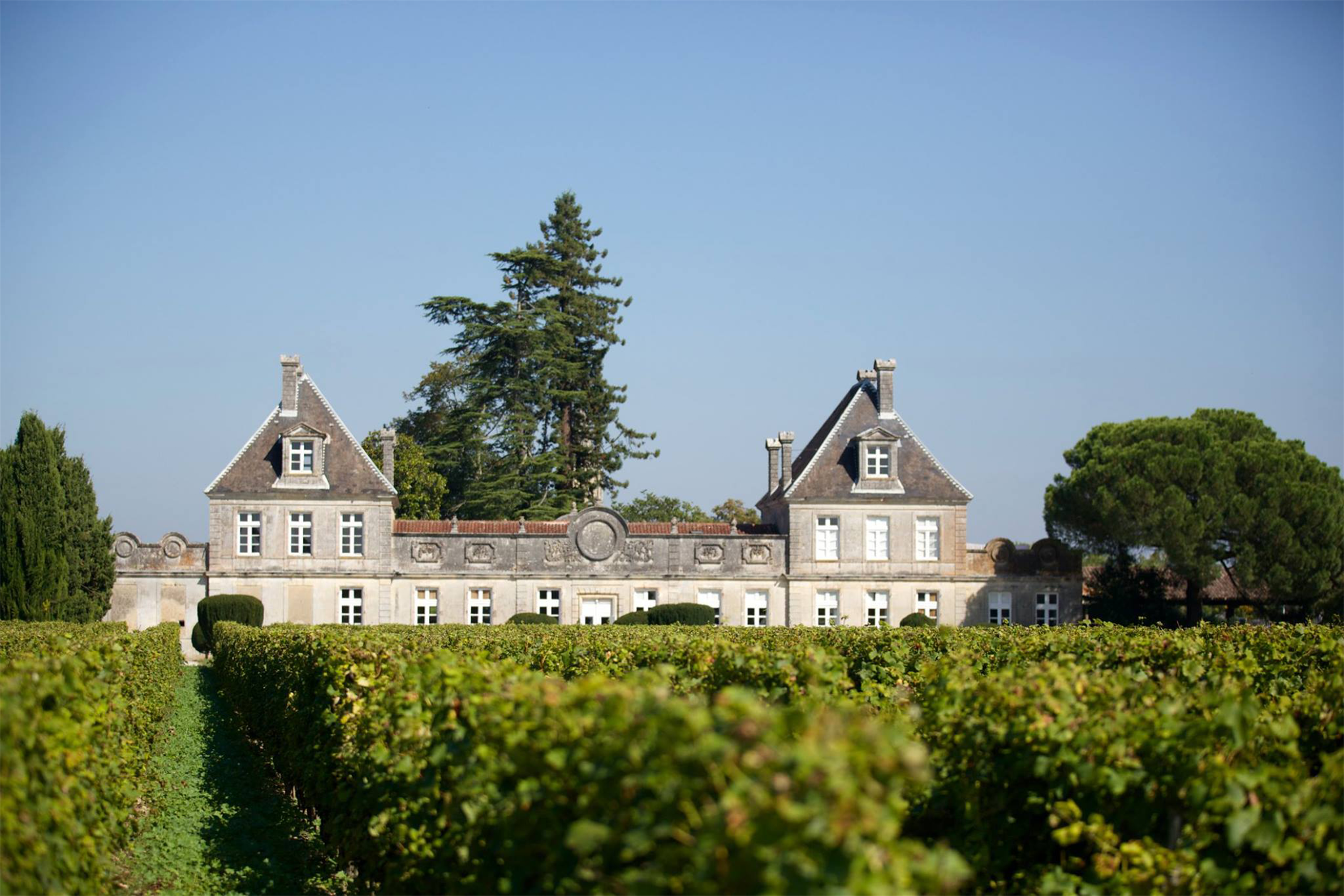 Everyday Bordeaux.png